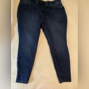 Terra & Sky Women's Deep Indigo Skinny Jeans Size 2x (20w-22w)
